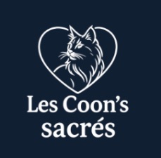 Les coon's sacrés